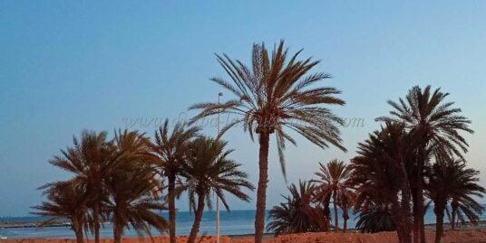 Lotissement  approuvé vue de mer  à Vendre à Djerba Aghir