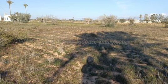 Grand Terrain à Vendre  : Titre Bleu – Parfait pour Projet Immobilier !