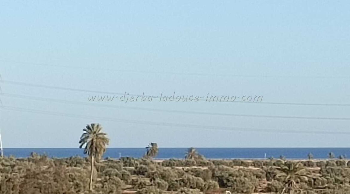 WhatsApp Image 2026-01-29 at 15.49.39 (1)