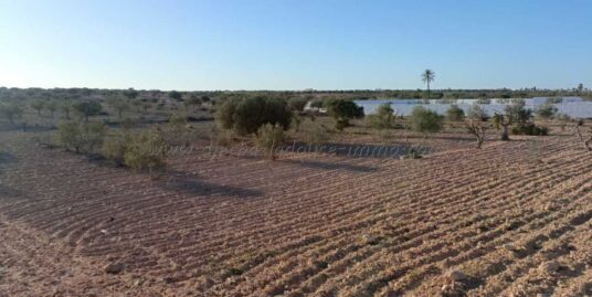 Terrain à vendre – Béni Maguel (Vue mer)