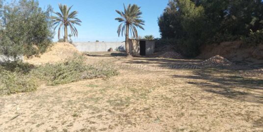 À VENDRE – TERRAIN À Temlel