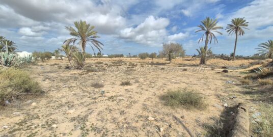 À VENDRE – TERRAIN Titré À Temlel