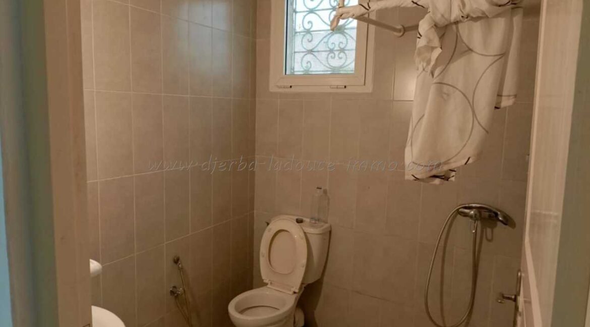 WhatsApp Image 2026-03-17 at 14.38.36 (1)