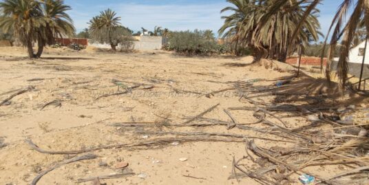TERRAIN À VENDRE – ZONE TOURISTIQUE LAGUNE HDADDA