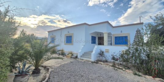 Location annuelle – Villa S+3 meublée – ROUTE DU PHARE
