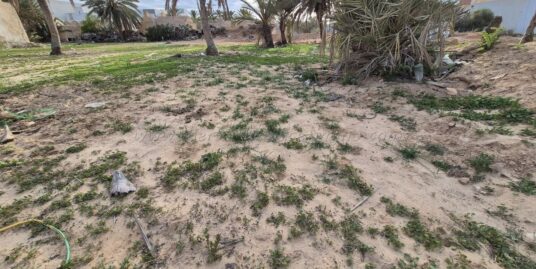 A vendre – Terrain en zone urbaine à Midoun (Djerba)