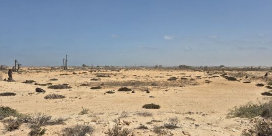 À Vendre – Terrain Titré avec Vue Mer à route Aghir – Chaussée Romaine, Djerba