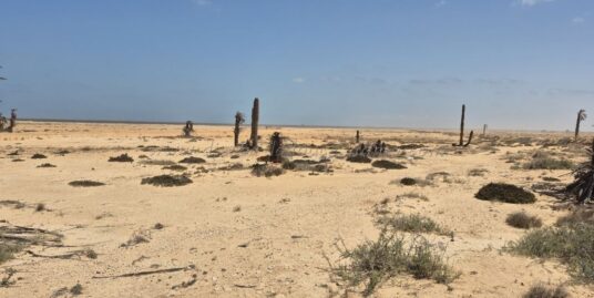 À Vendre – Exceptionnel Terrain Titré Pieds dans l’Eau à route Aghir – Chaussée Romaine, Djerba